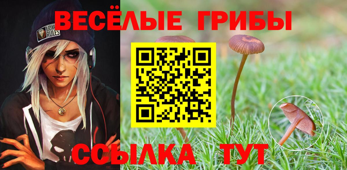 Галлюциногенные грибы мухоморы Шахты