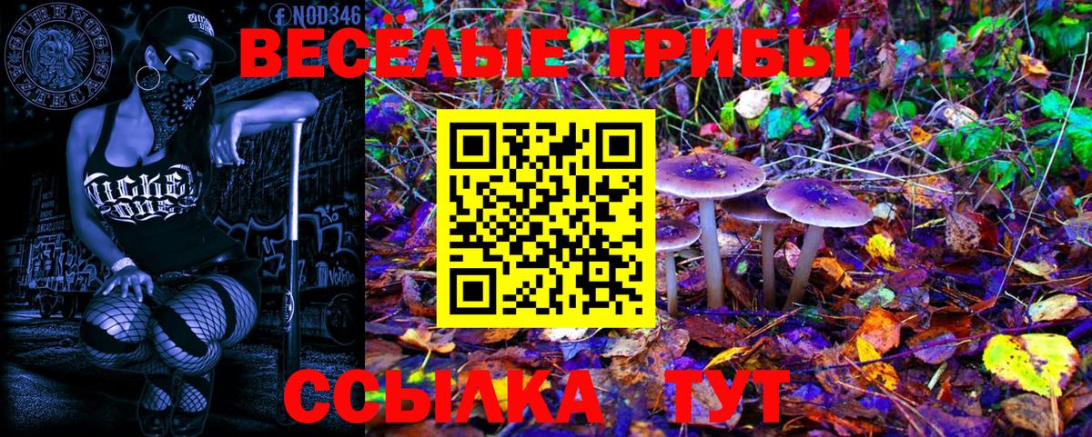 Шахты  Псилоцибиновые грибы Magic Shrooms  Вход с VPN  Псилоцибиновые грибы мухоморы 