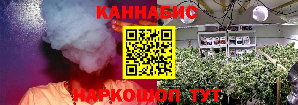 Канабис индика Шахты
